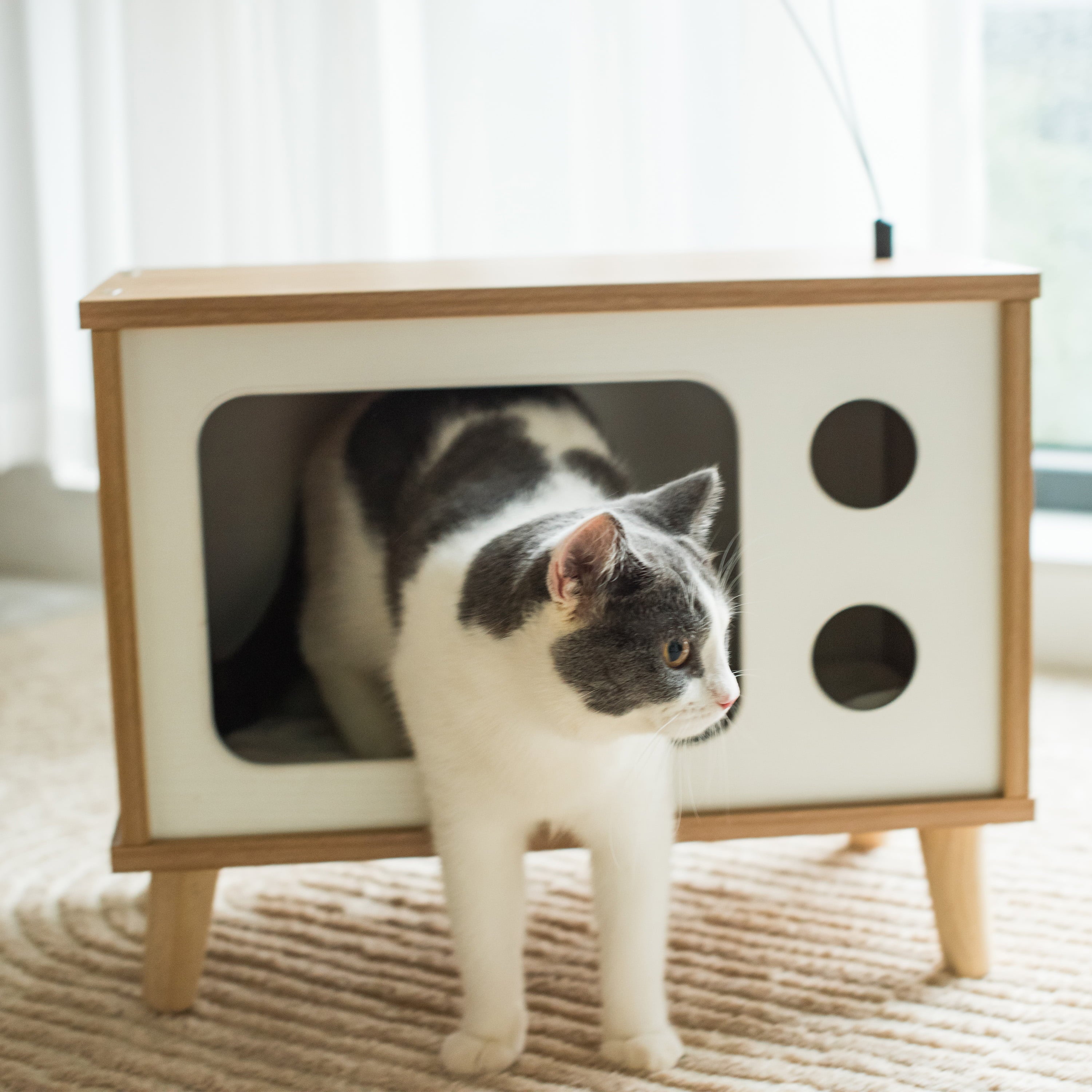 Vibrant Life Purr-View Retro TV Cat Condo with Jute Scratching Pad and Washable Mat