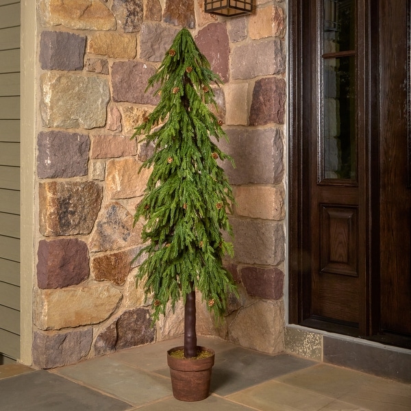 60 Uv Potted Soft Touch Norfolk Pine Tree