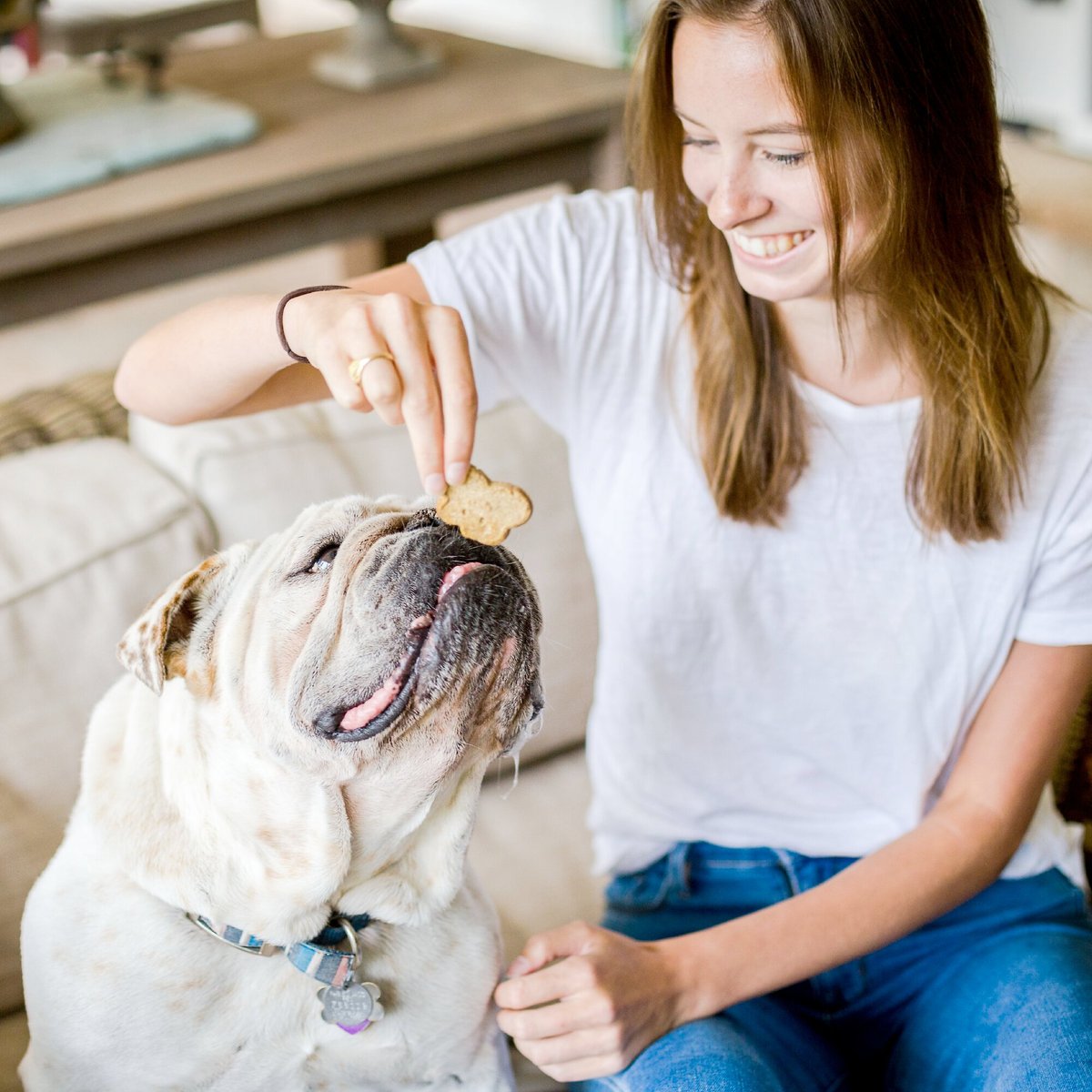 Cloud Star Wag More Bark Less Grain-Free Oven Baked Assorted Flavors Biscuits Dog Treats