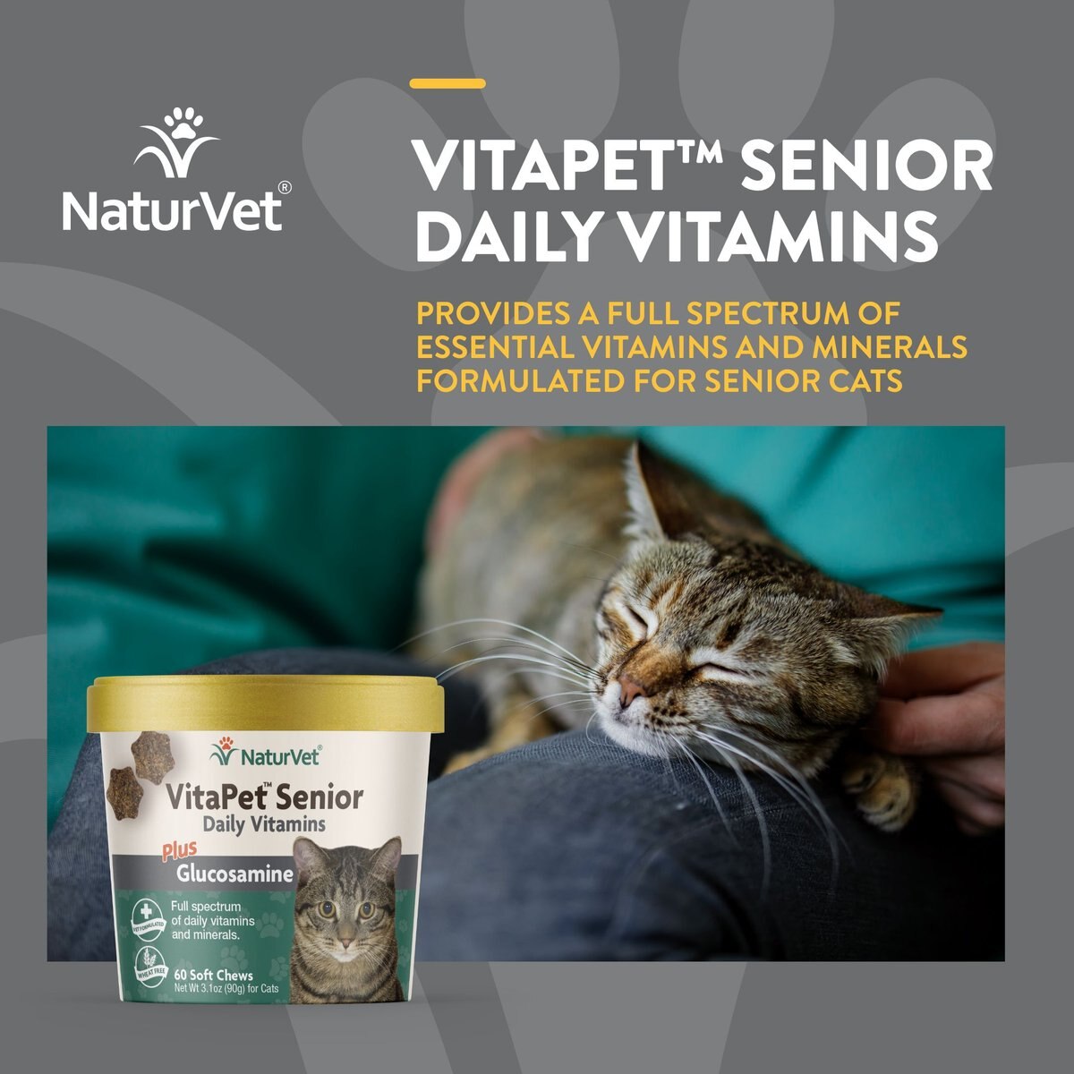 NaturVet VitaPet Senior Daily Vitamins Plus Glucosamine Cat Supplement