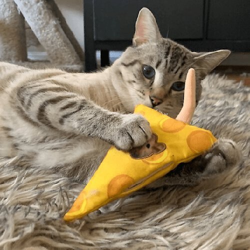 Meowijuana Get Cheesy Mouse and Cheese Refillable Plush Cat Toy with Catnip