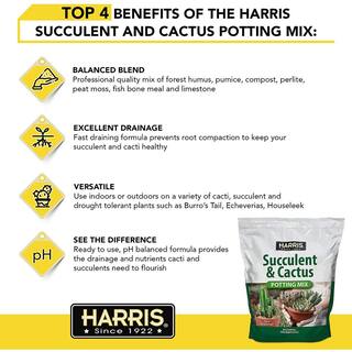 Harris 8 Qt. Premium Horticultural Vermiculite for Indoor Plants and Gardening and 4Qt. Succulent and Cactus Potting Soil Mix VERM-SUCCL