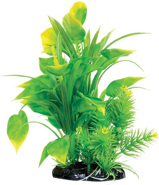 Underwater Treasures Spade Fern Fish Plant， 8.5-in