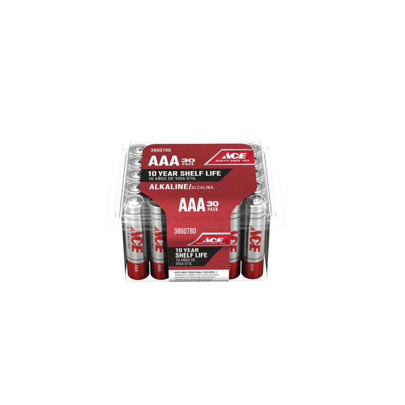 BATTERY ALKLN AAA 30PK