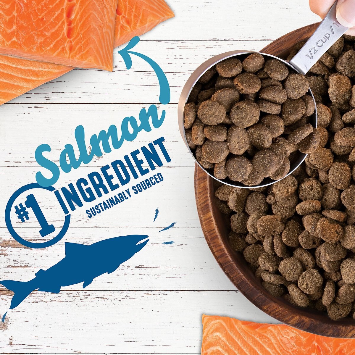 Earthborn Holistic Unrefined Smoked Salmon with Ancient Grains and Superfoods Dry Dog Food