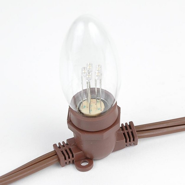 Novelty Lights Globe Outdoor String Lights With 80 In line Sockets Brown Wire 100 Feet