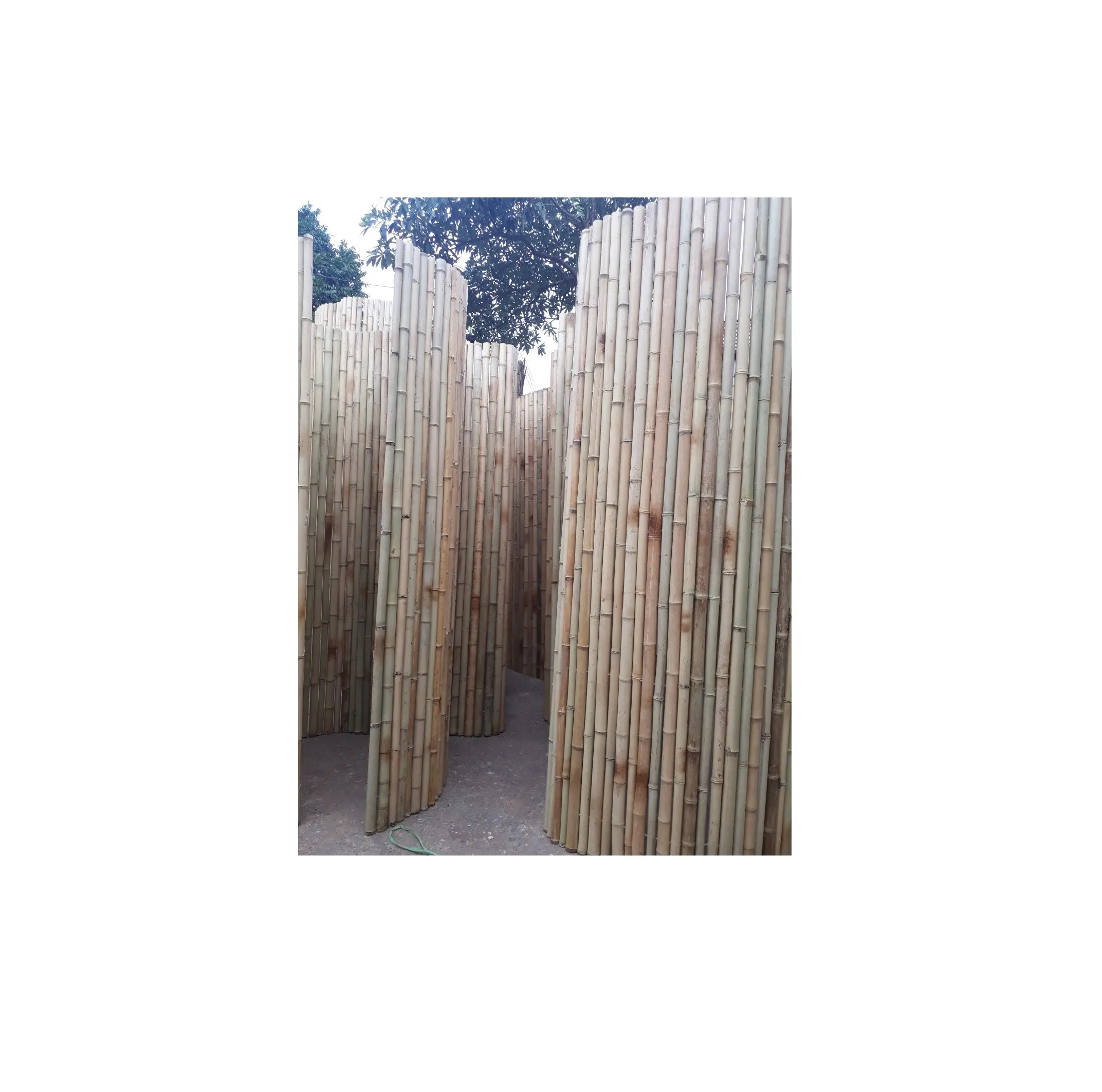 Wholesale Bamboo fencing roll for backyard   Natural Bamboo reed fence roll   Hot sale Flexible bamboo fence roll for garden