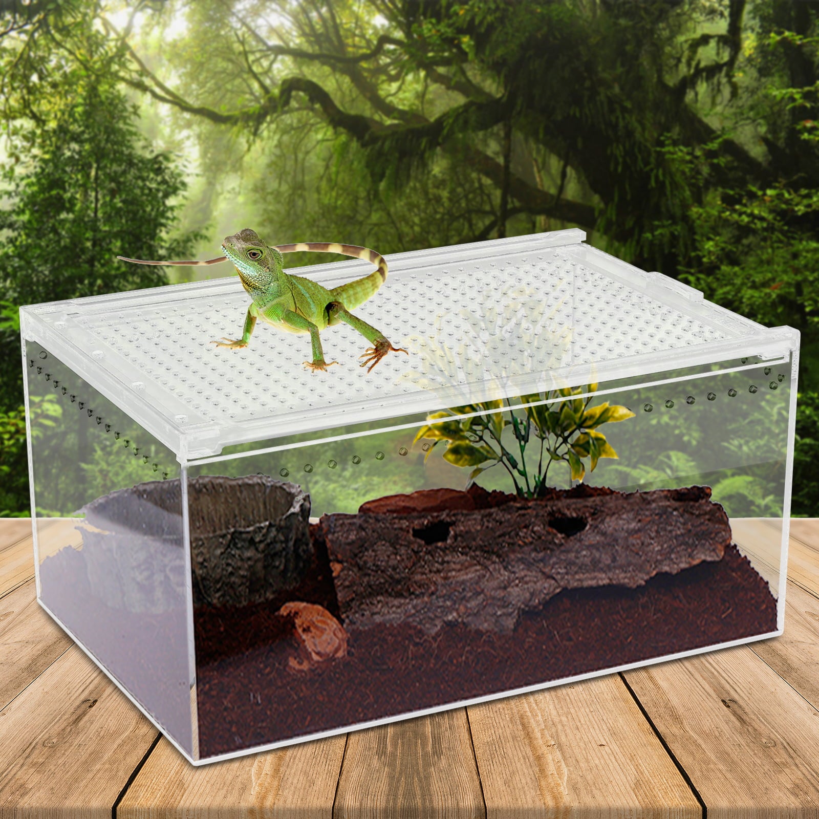 Reptile Feeding Box Snake Breeding Box Transparent Animal Habitat Cage Portable Plastic Turtle Transport Container for Bearded Dragon Lizard Spider Frog Scorpion Gecko