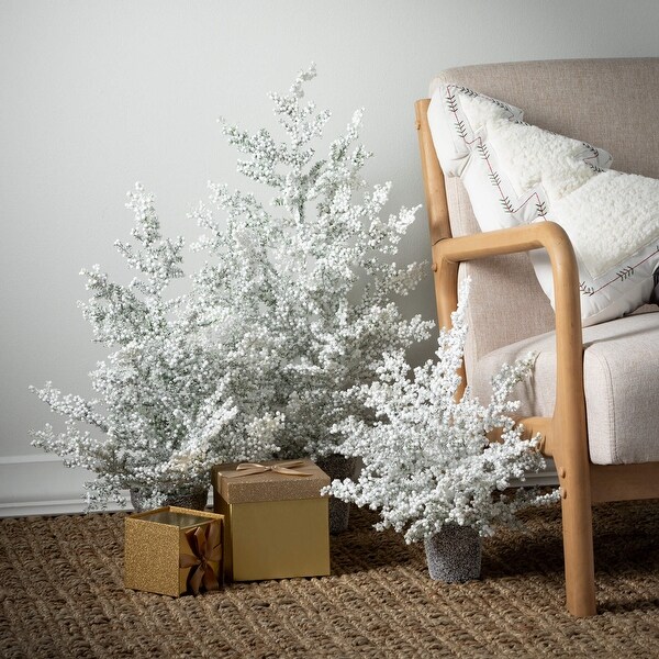 19H，23H and 32H Sullivans Artificial Christmas Frosted Juniper Tabletop Trees Set of 3，White