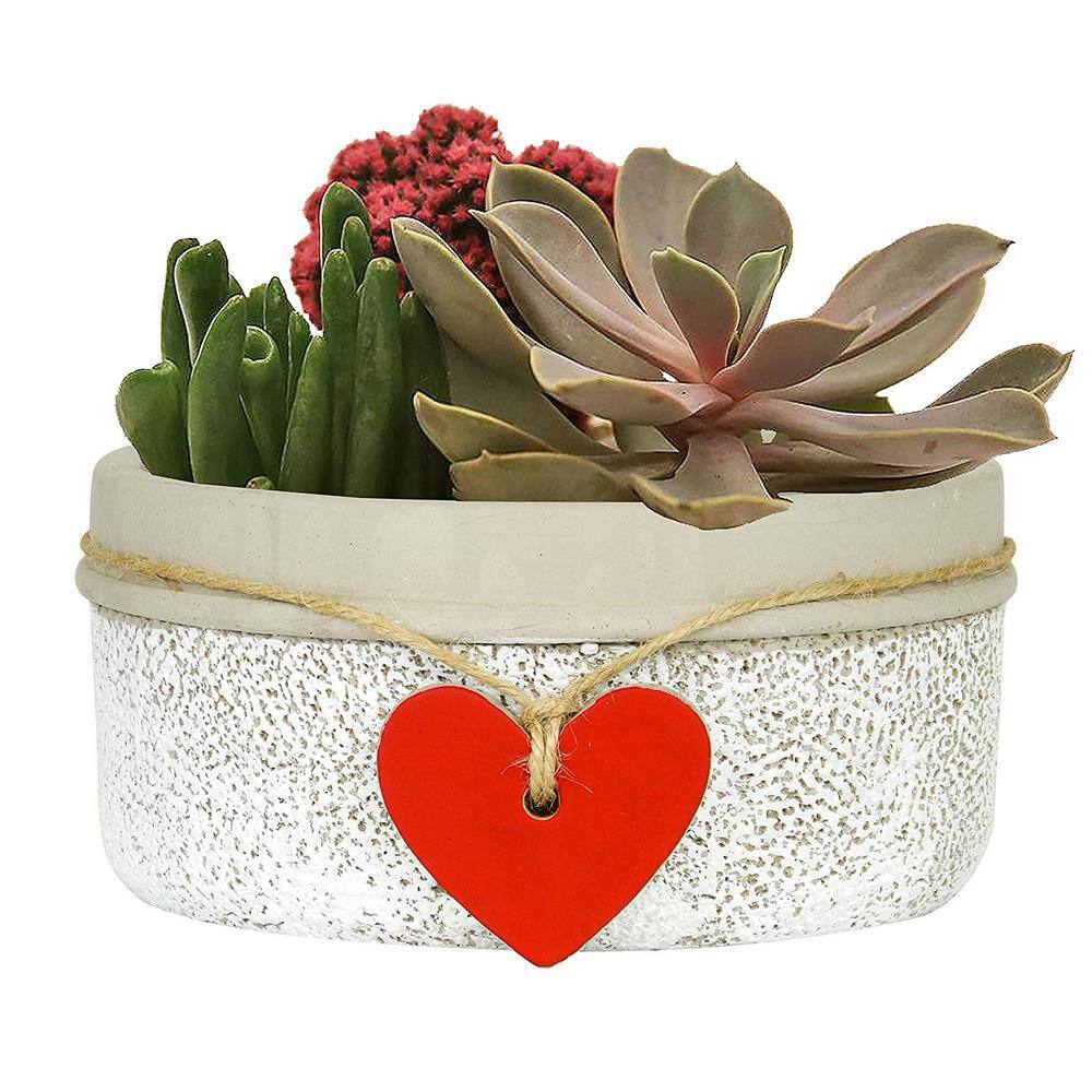 CHG CLASSIC HOME  GARDEN Heart 6.5 in. Whitewash Concrete Bowl Planter 280000P-396