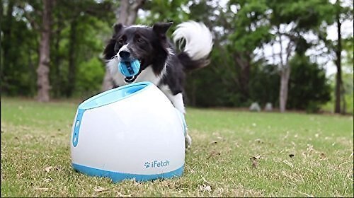 iFetch Too Automatic Ball Launcher Dog Toy