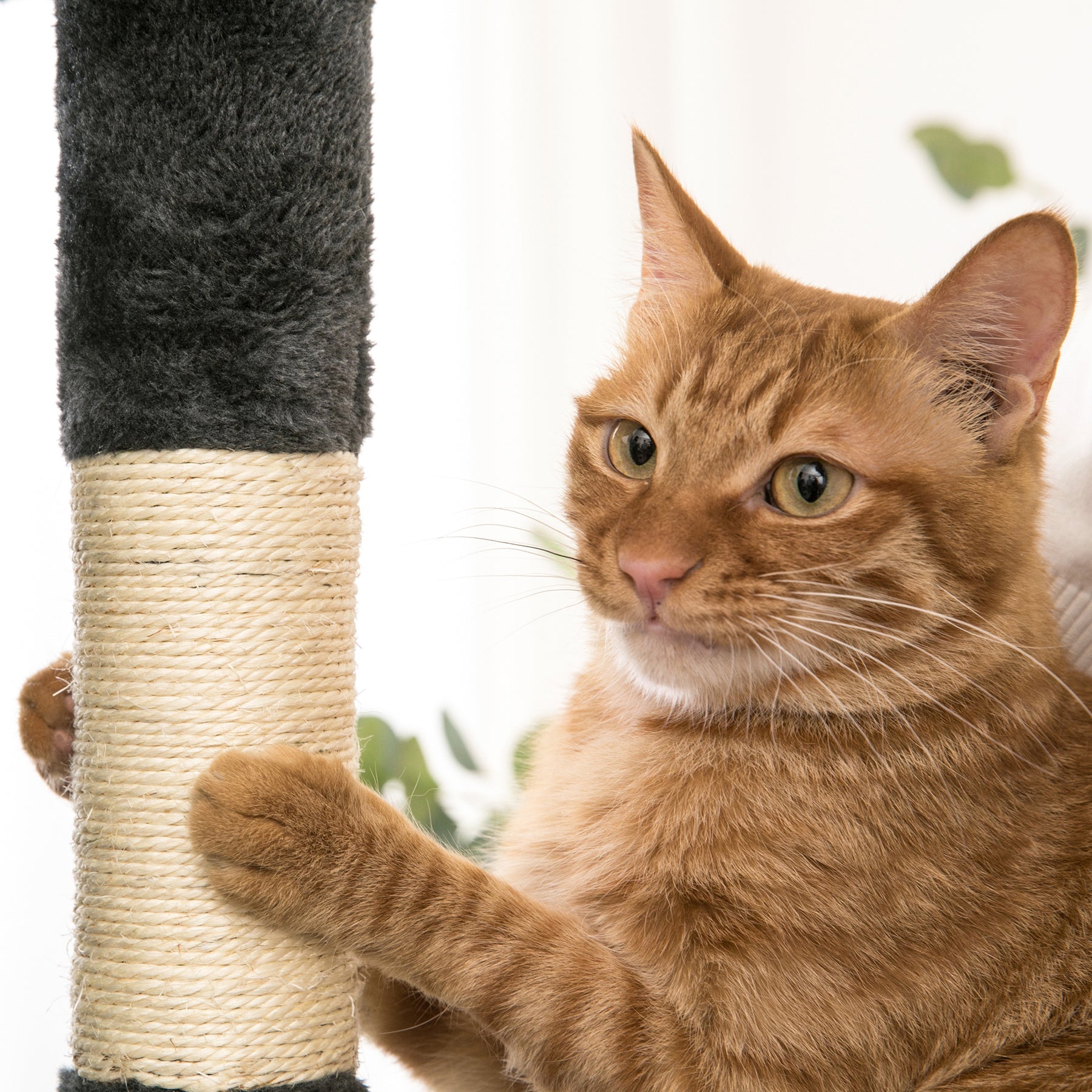 Quuzee 51.6-in Cat Tree Tower with Double Condo,Scratching Post Hammock,Somky Gray