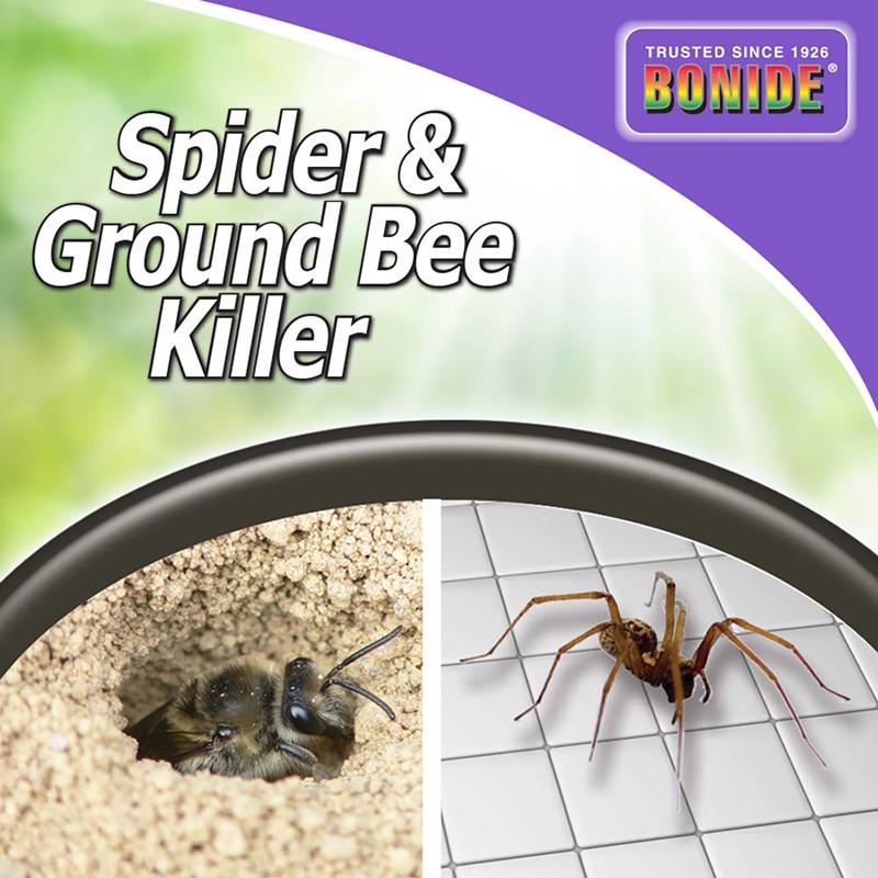 SPIDERGROUNDBEE KIL10OZ