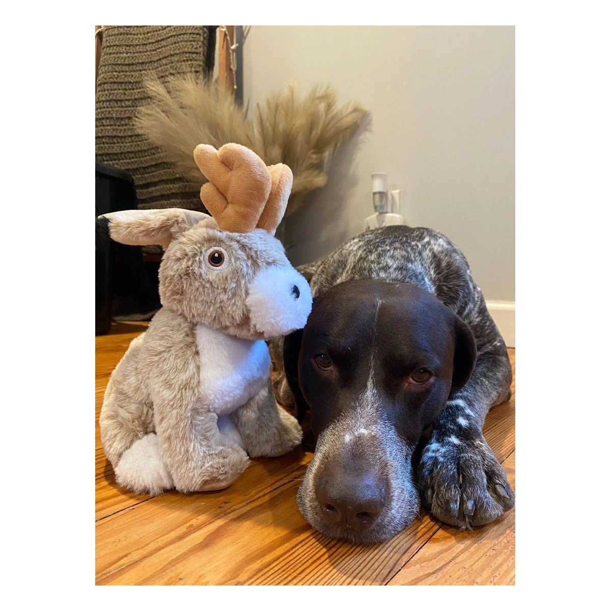 Tall Tails Jackalope Dog Toy