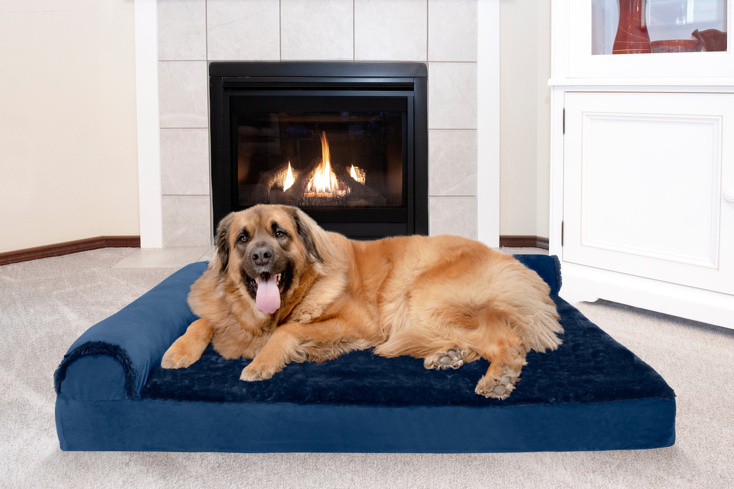 FurHaven | Deluxe Orthopedic Plush and Velvet L-Chaise Lounge Pet Bed for Dogs and Cats， Deep Sapphire， Jumbo Plus