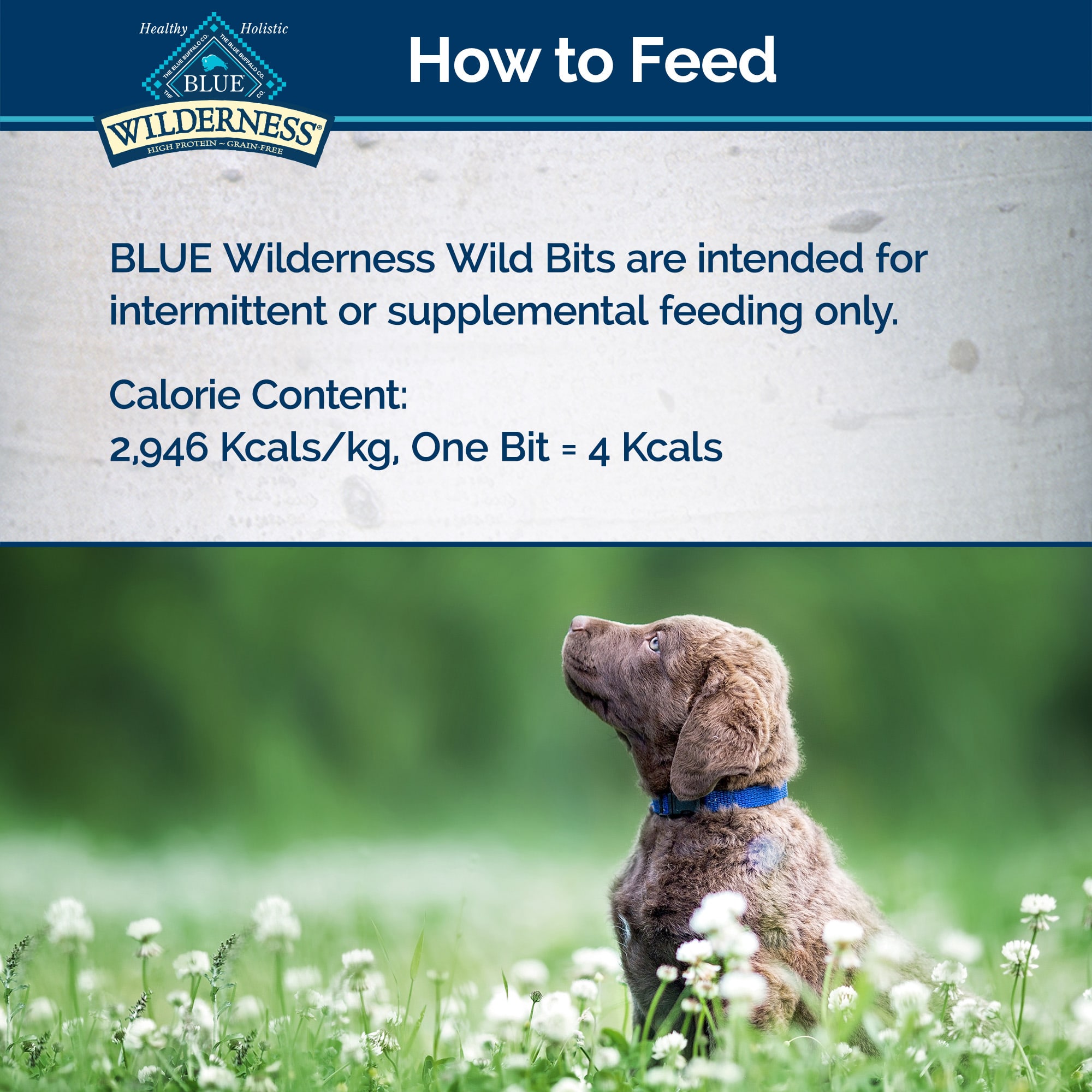 Blue Buffalo Blue Wilderness Trail Treats Duck Wild Bits Dog Treats， 4 oz.