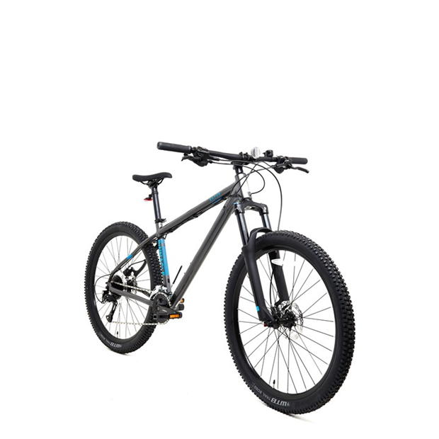 Pinnacle Kapur 2 Mountain Bike