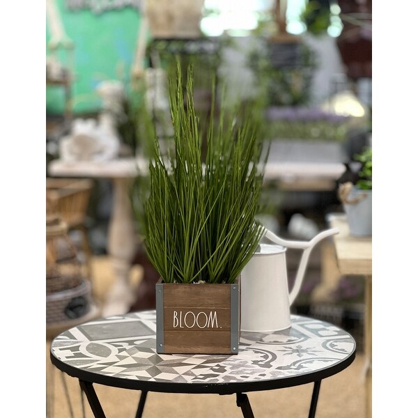 Rae Dunn Artificial Plant for Home Décor