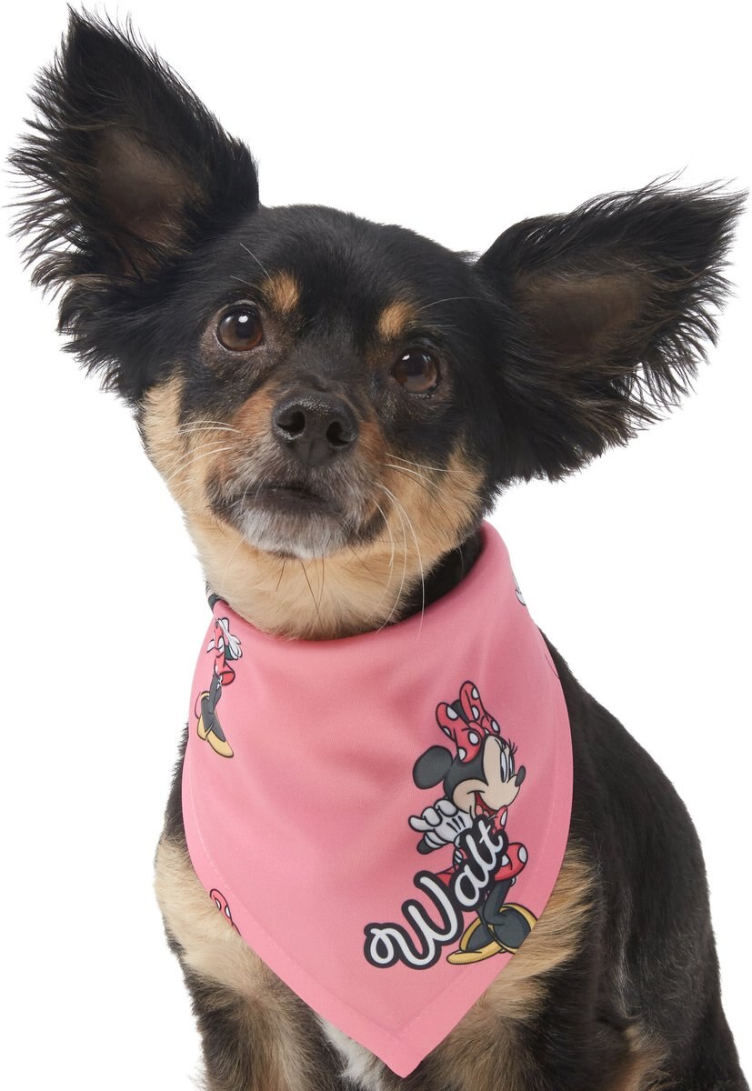 Disney Minnie Mouse Golden Days Personalized Dog and Cat Bandana