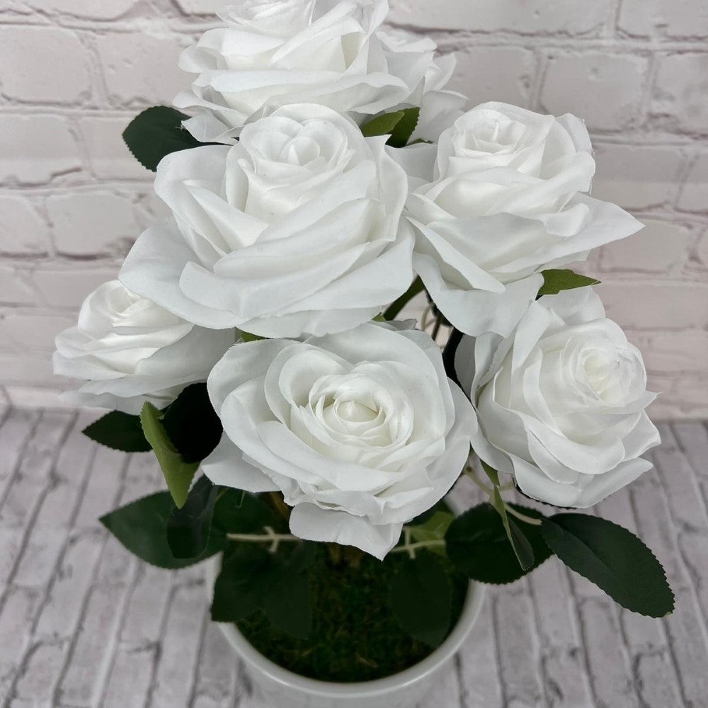 Gorgeous Roses in Ceramic Pot