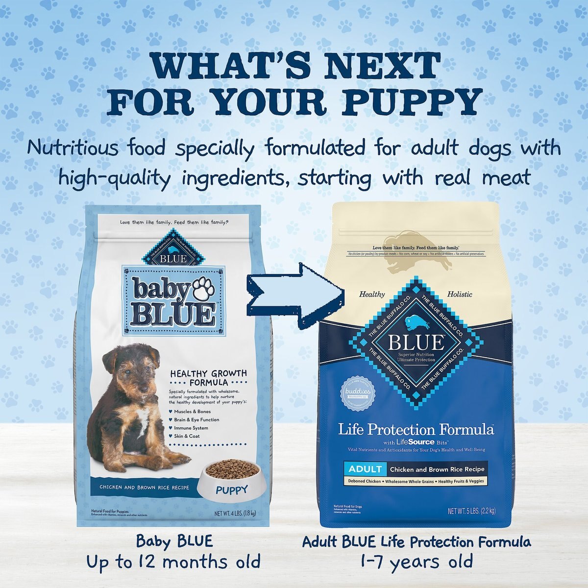 Blue Buffalo Baby Blue Healthy Growth Formula Natural Chicken and Brown Rice Recipe Puppy Dry Food