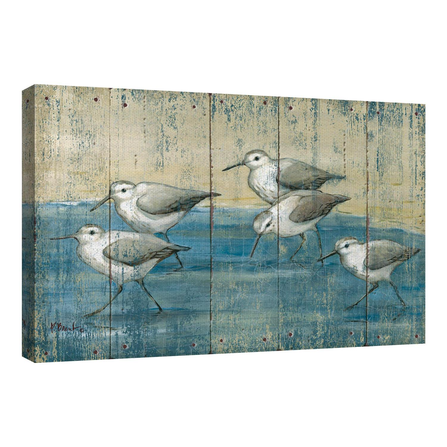 Masterpiece Art Gallery Sandpipers On Wood Coastal Birds By Paul Brent Canvas Art Print 24  x 36  Crowdfused