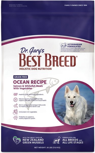 Dr. Gary's Best Breed Holistic Grain-Free Salmon with Fruits and Vegetables Dry Dog Food