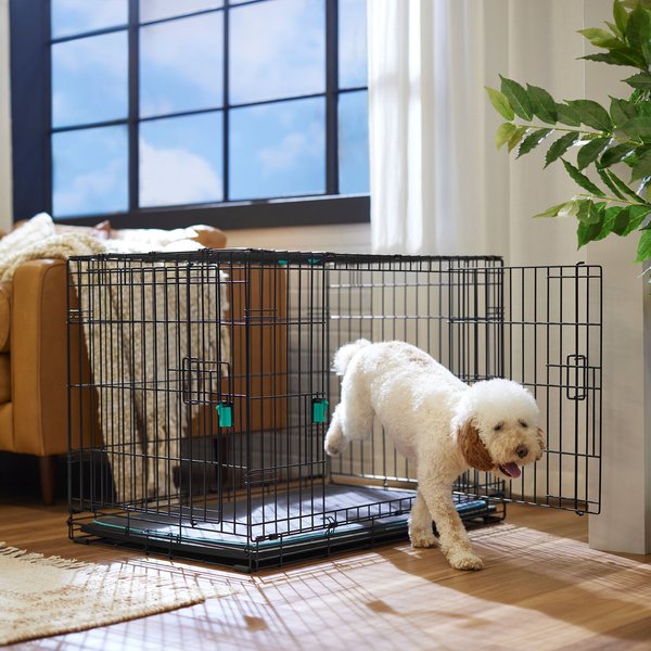 Frisco Heavy Duty Enhanced Lock Double Door Fold and Carry Wire Dog Crate and Mat Kit