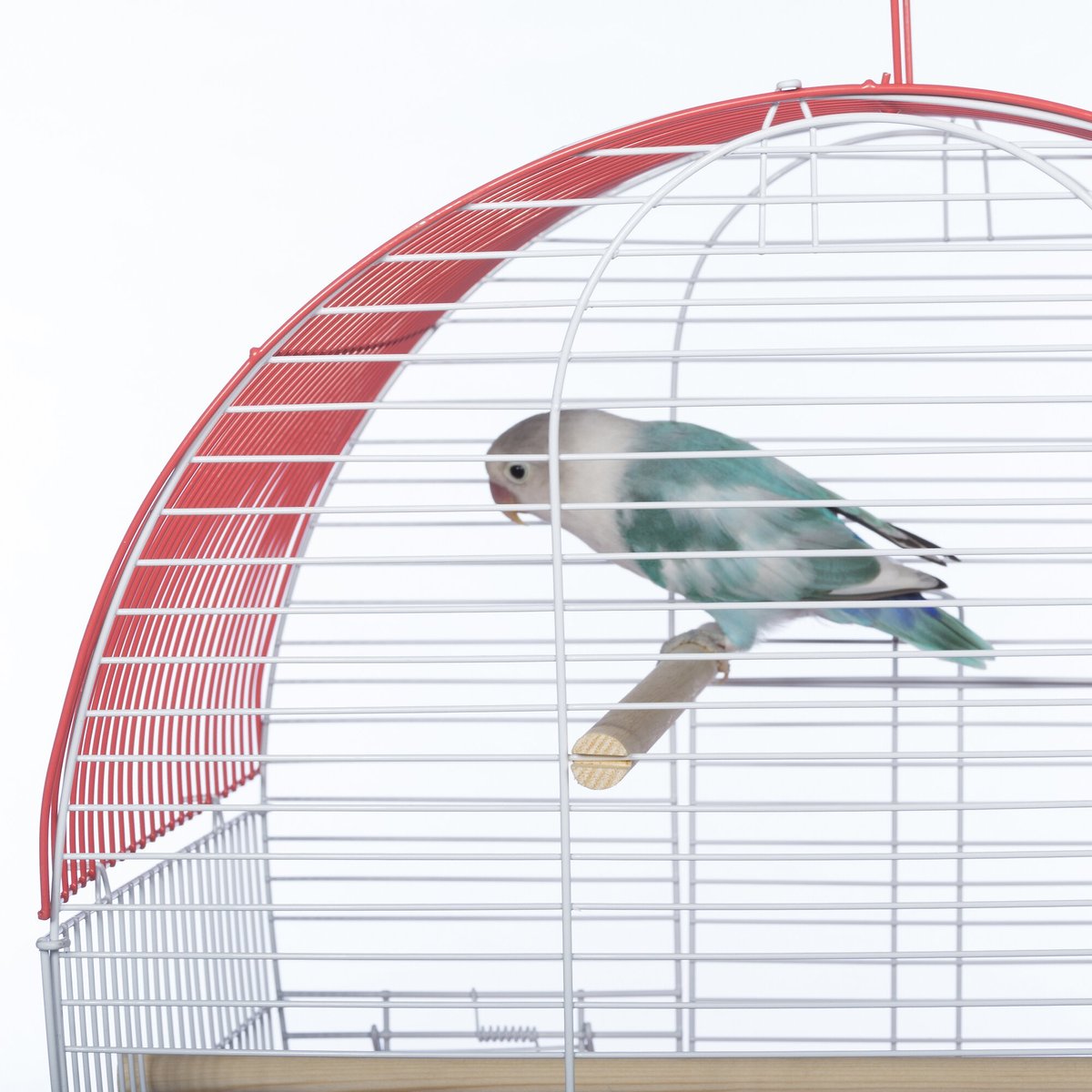 Prevue Pet Products Southbeach Dome Top Bird Cage