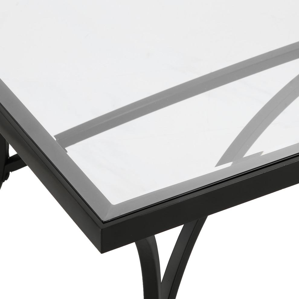 Alayna Black Metal  ampGlass Coffee Table   Transitional   Coffee Tables   by Ownax  Houzz