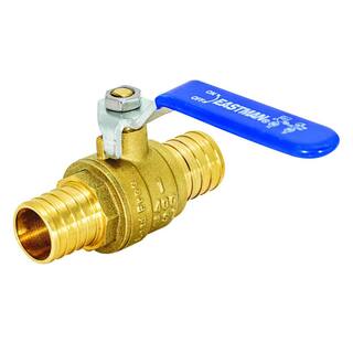 EASTMAN 1 in. x 1 in. PEX Ball Valve 20095LF