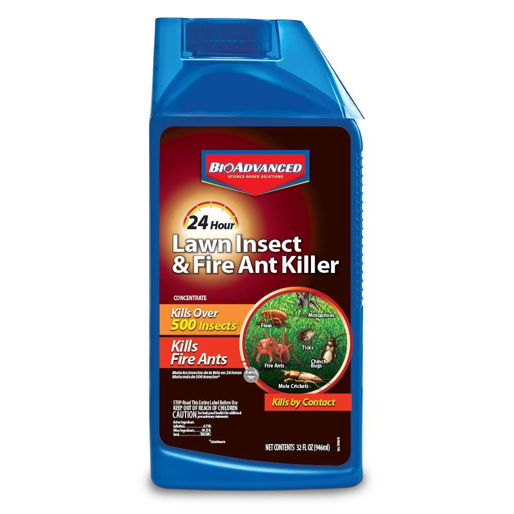 BIOADVANCED 32 oz. Concentrate 24-Hour Lawn Insect And Fire Ant Killer 700800A