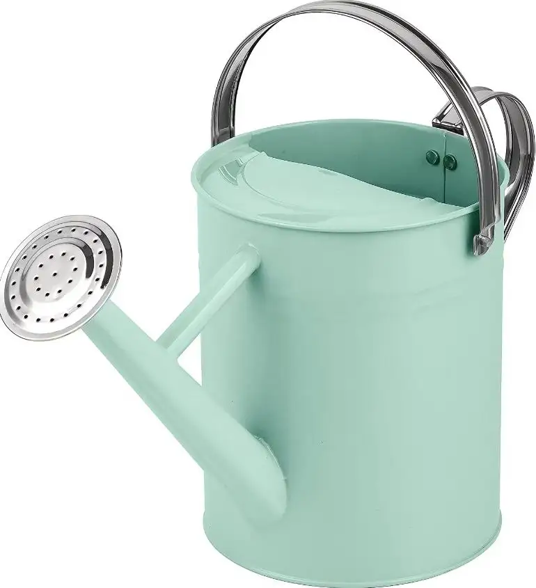 Metal Stainless Steel watering can Black small for outdoor and indoor plants flowers watering can Home Garden wholesale 2023