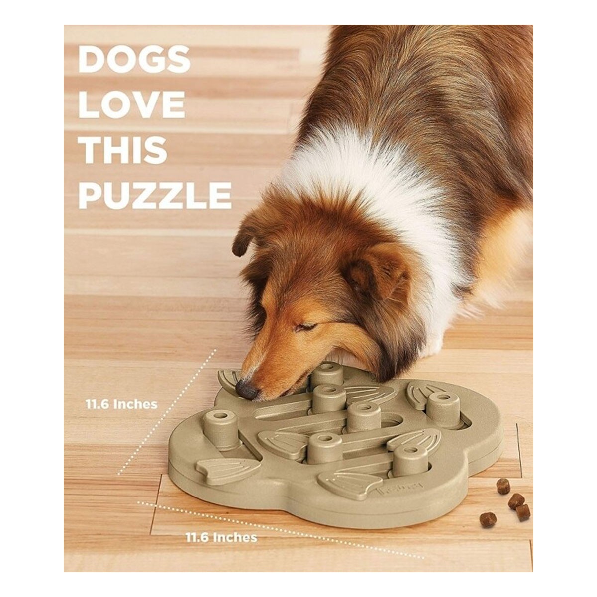 Outward Hound Hide n' Slide Dog Puzzle