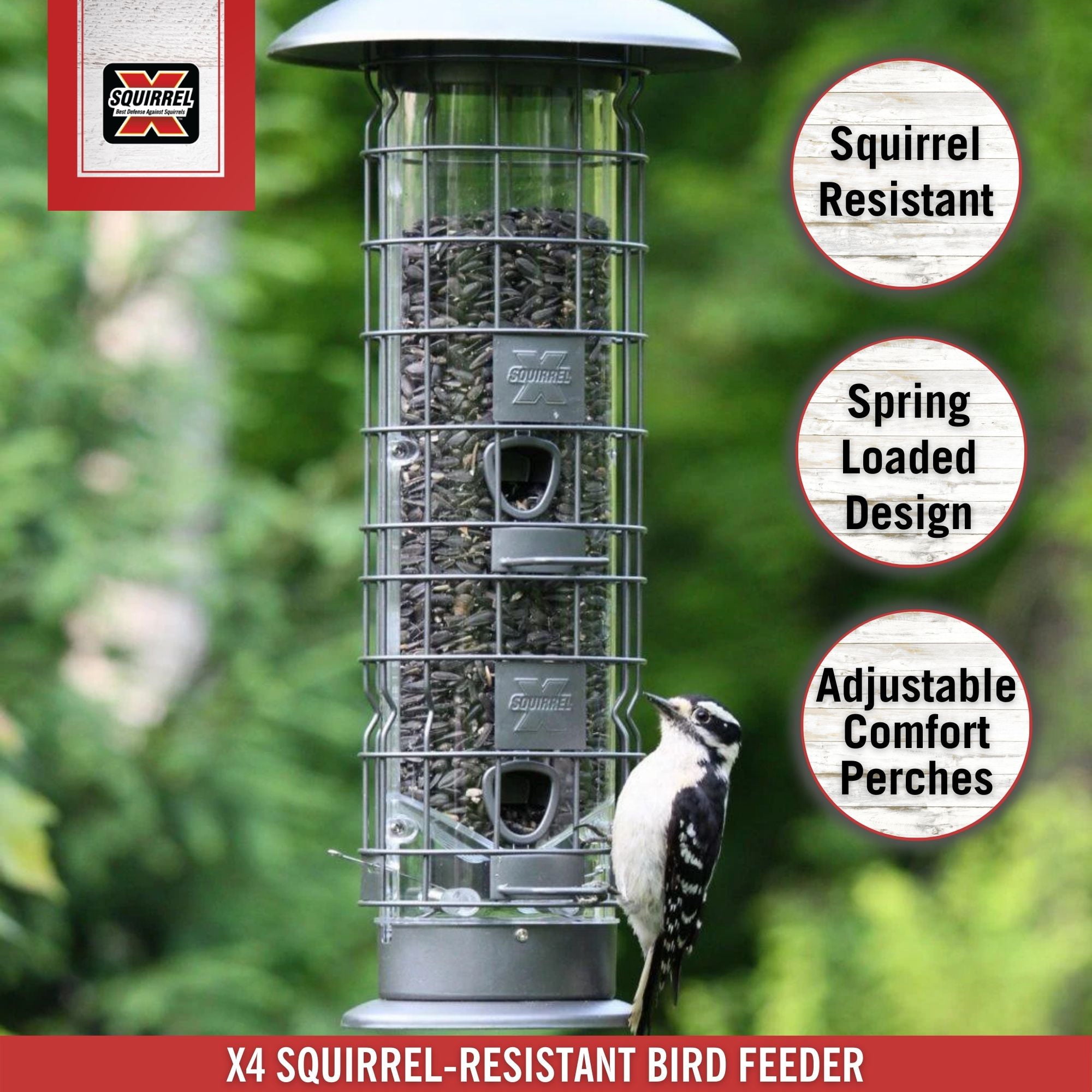 Squirrel-X X4 Squirrel Resistant Tube Bird Feeder for Wild Birds， Gunmetal