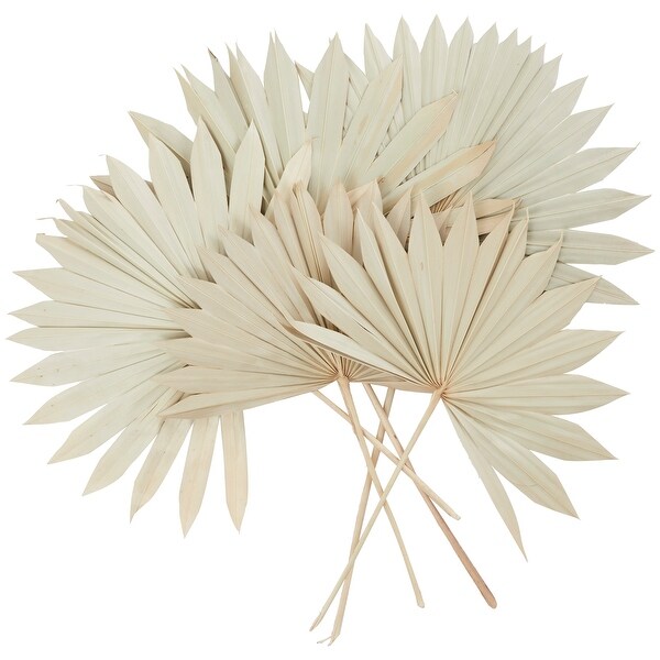 Cream Dried Plant Handmade Large Sun Spear Palm Leaf Home Decor Natural Foliage