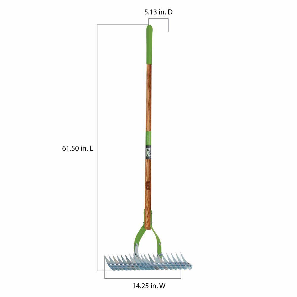 Ames 54 in. Hardwood Handle 19-Tine Adjustable Thatch Rake 2915100