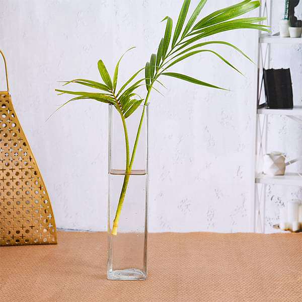 2 inch (5 cm) Square Glass Vase (9 inch (23 cm) Height)