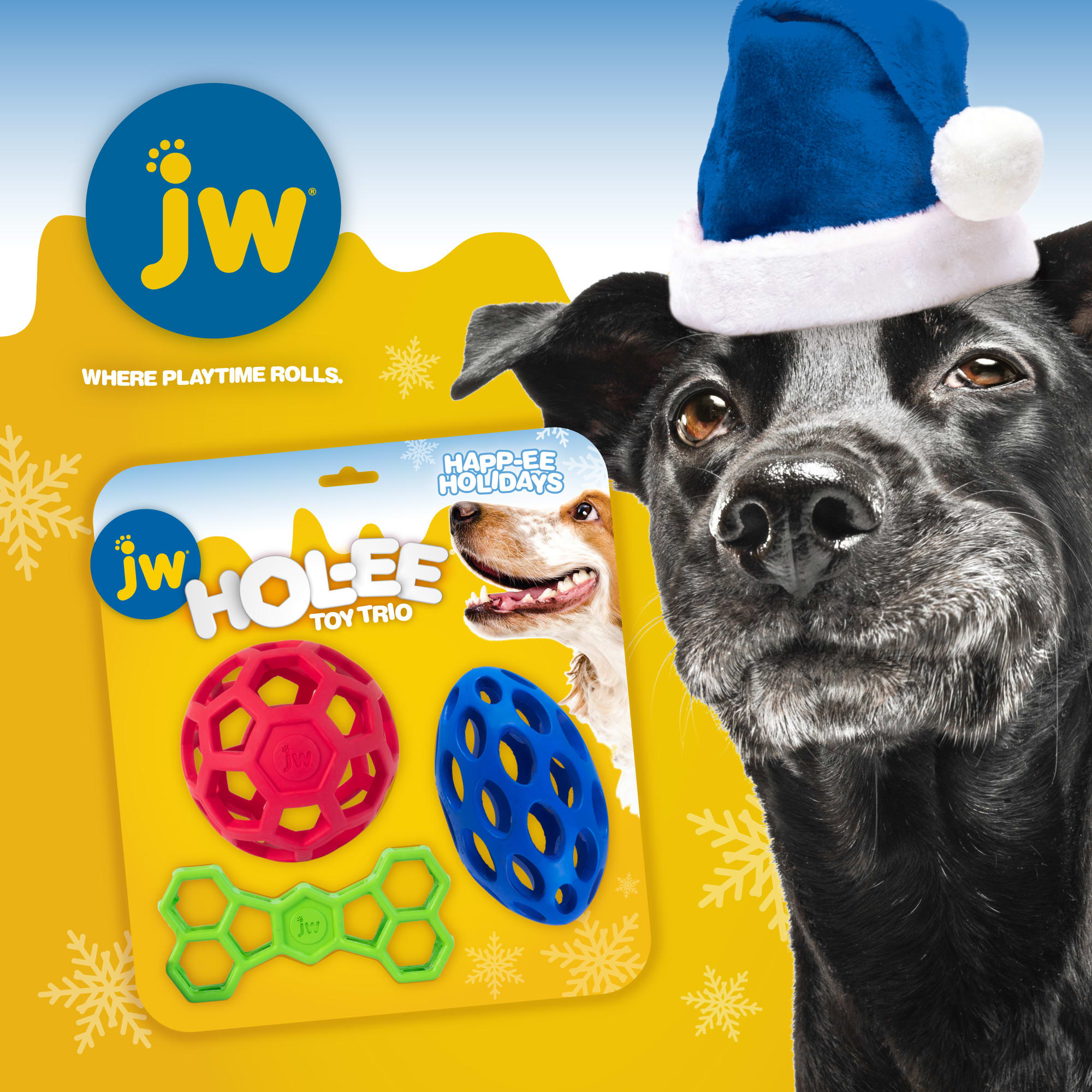 JW Hol-Ee Holiday Trio Pack Dog Toy， Large