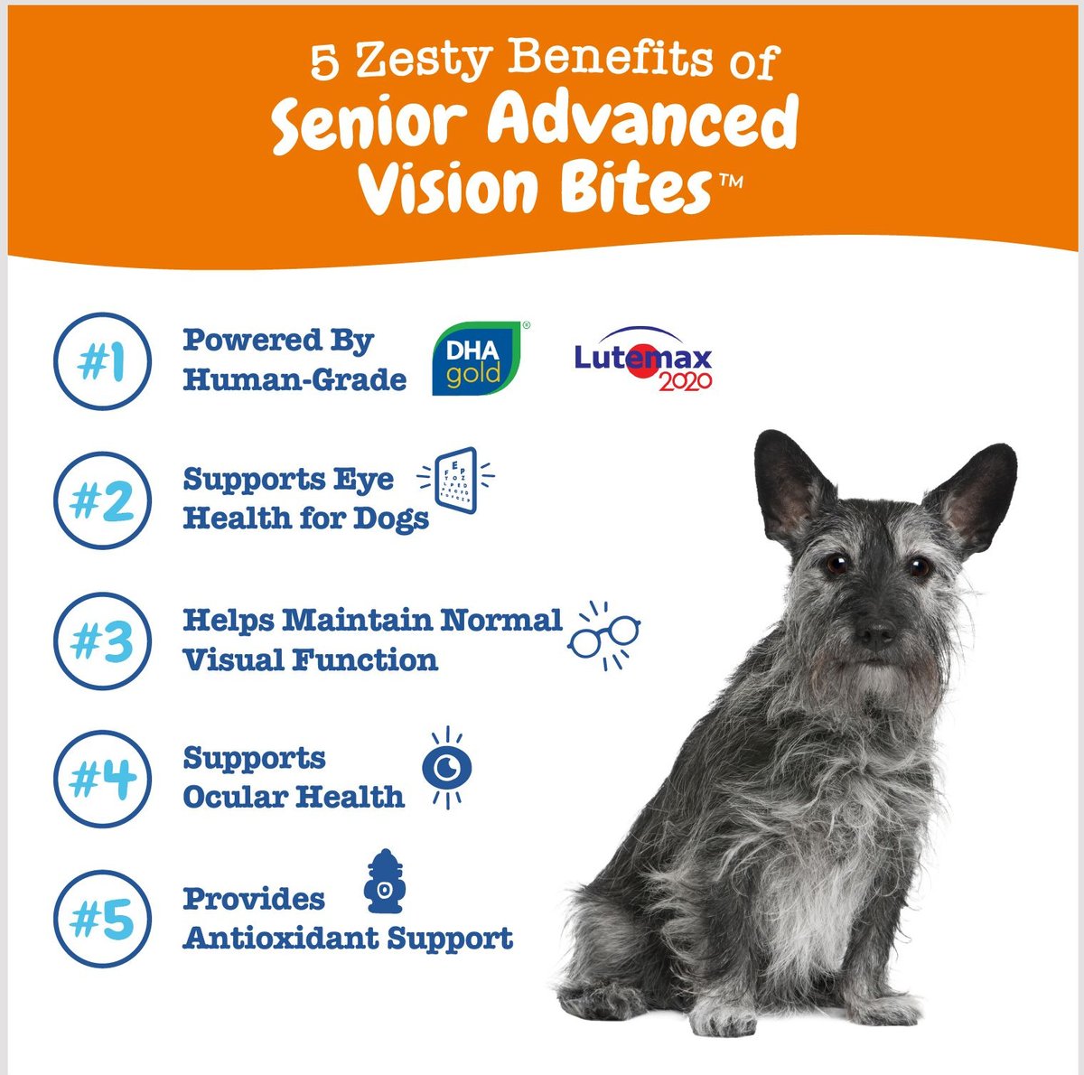 Zesty Paws Advanced Vision Bites Chicken Flavored Soft Chews Vision Supplement for Senior Dogs