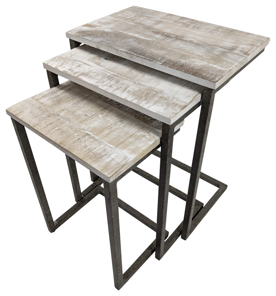 Easton Nesting Table Set   Industrial   Coffee Table Sets   by CAROLINA CLASSICS  Houzz