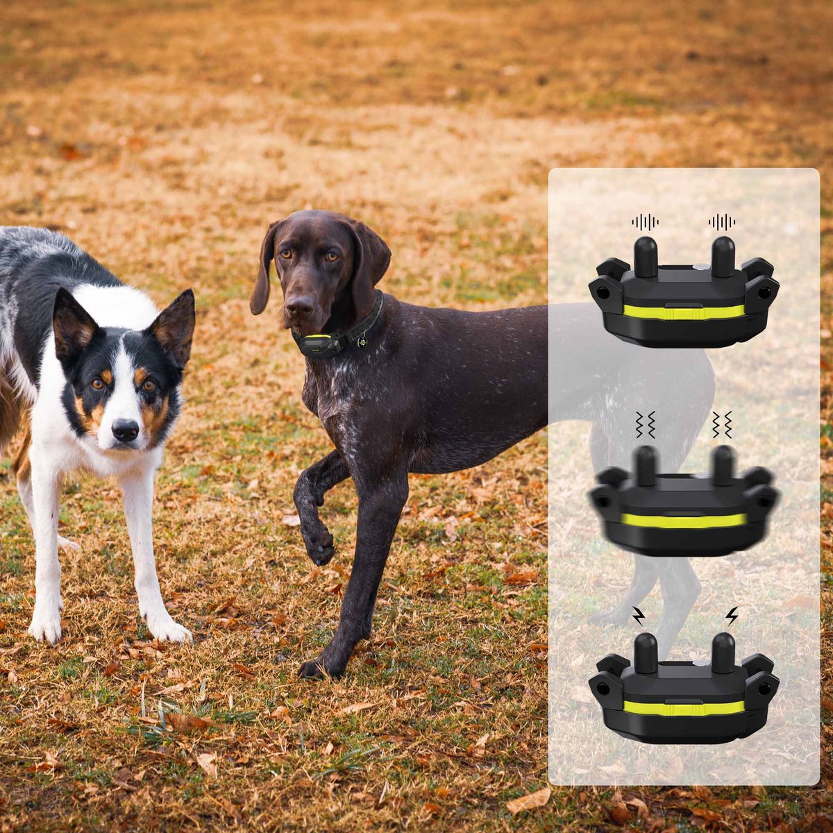 PATPET NFC Pet ID Tag and P910 3000-ft Outdoor Remote Dog Training Shock eCollar， Black， 2 count