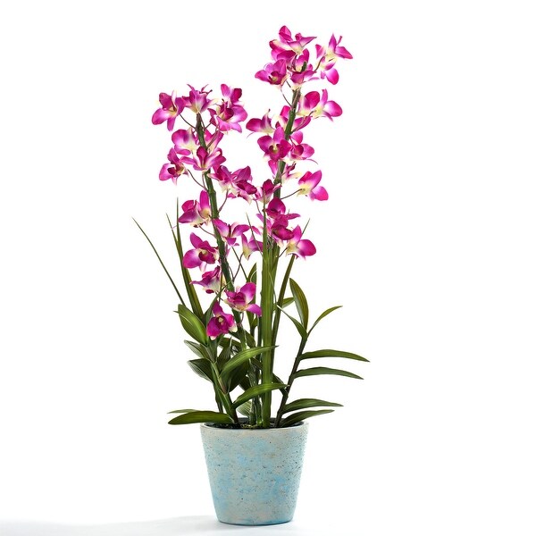 Purple Orchids in Cement Pot