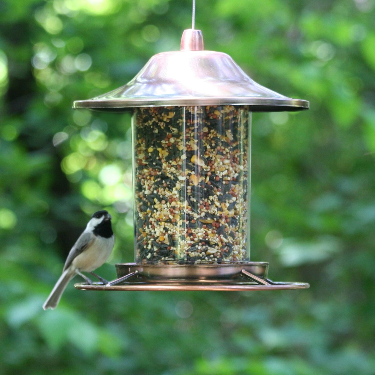 Perky-Pet Panorama Bird Feeder