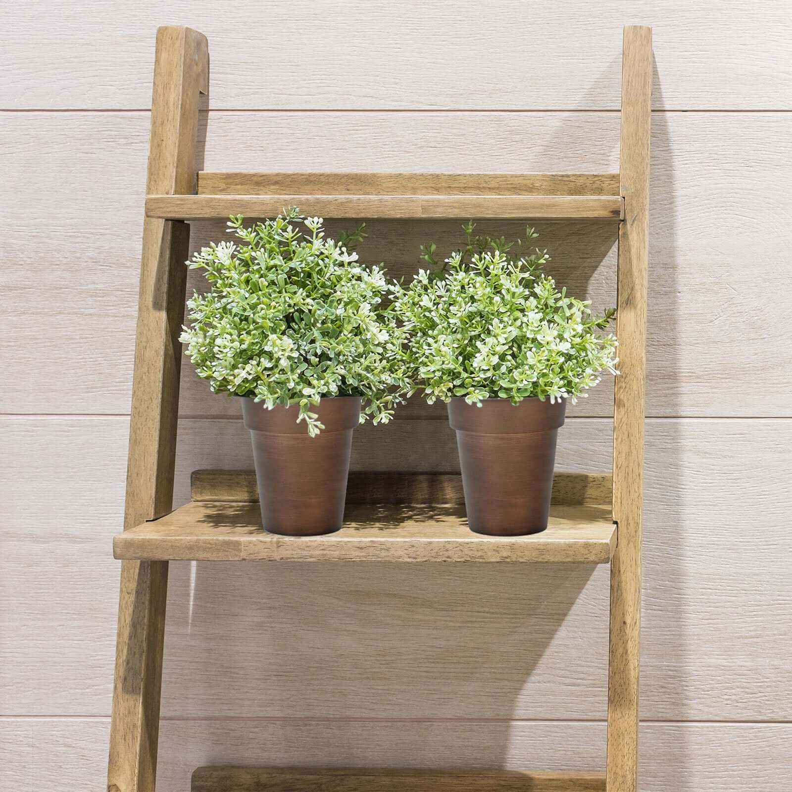 2 Pack Rustic Brown Medium Flower Plant Pots, Indoor Decorative Planters 6