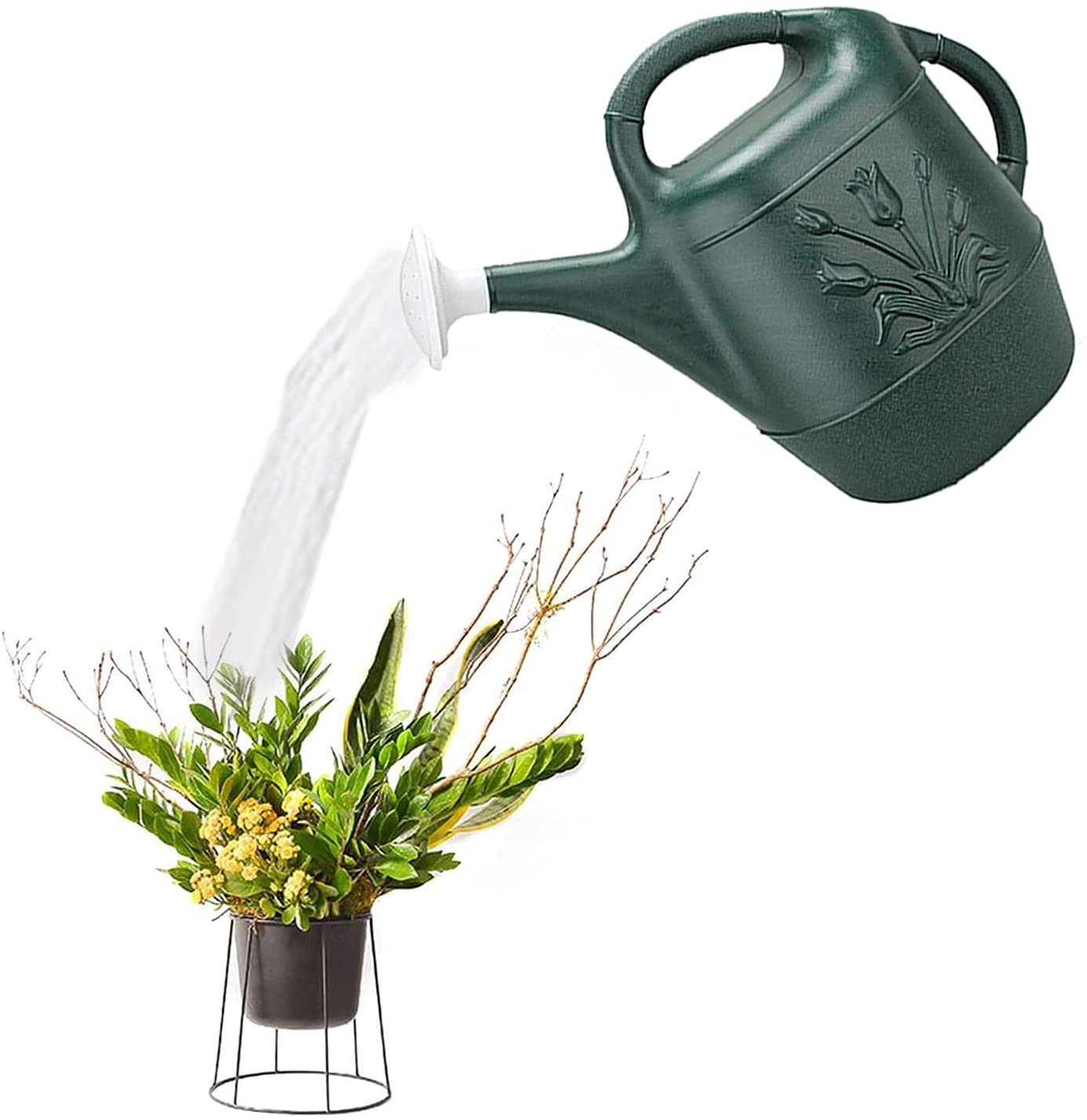 2 Gallon Watering Can - Hunter Green Pkg/3， Hunter Green