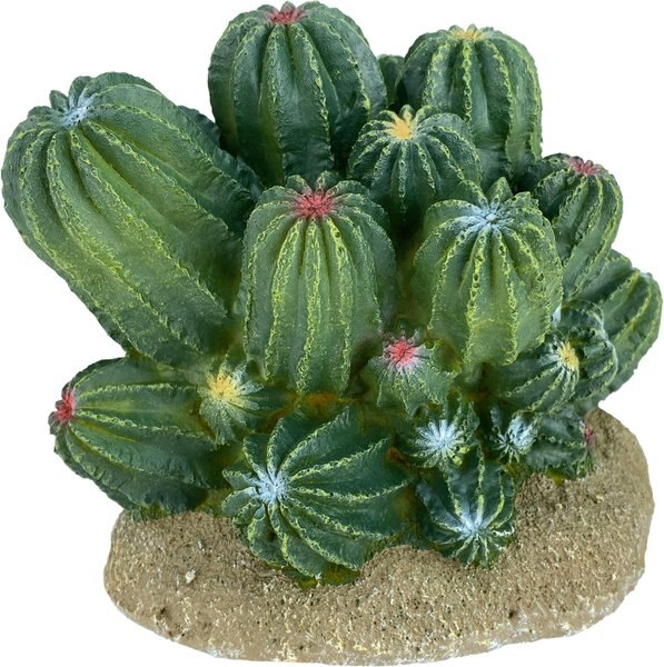 Komodo Cactus Barrel Reptile Ornament， Green