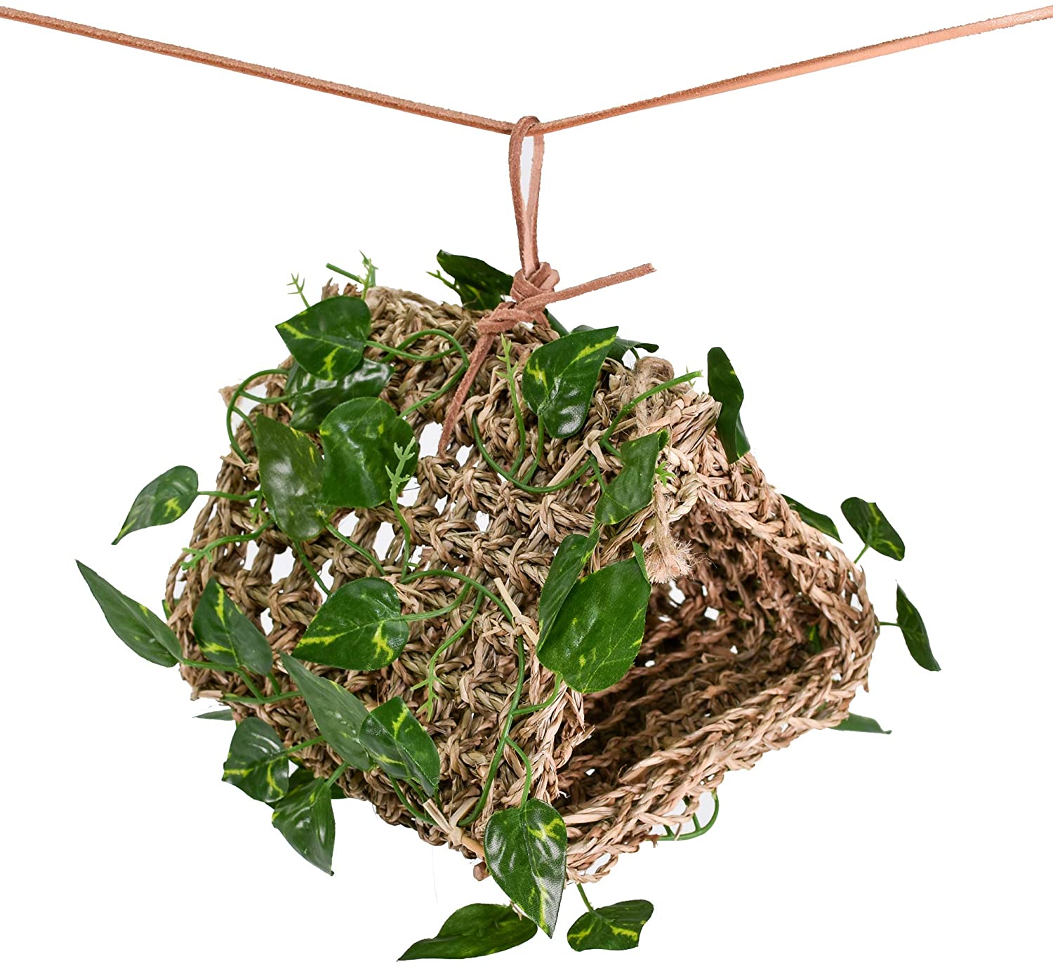 Penn-Plax Reptology Lizard Lounger Hanging Hideout with Vines， 100% Real Coconut and Natural Seagrass