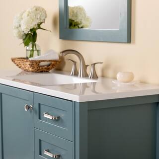 Home Decorators Collection Northwind 48.25 in. W x 18.75 in. D Bath Vanity in Sage with Cultured Marble Vanity Top in White with Integrated Sink B48X20135