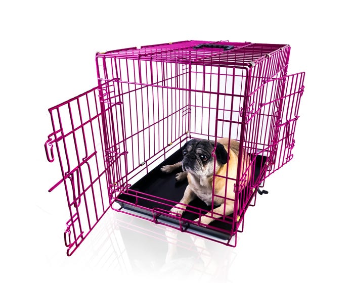 Pet Expressions Colored Metal Wire Dog Crate， 24